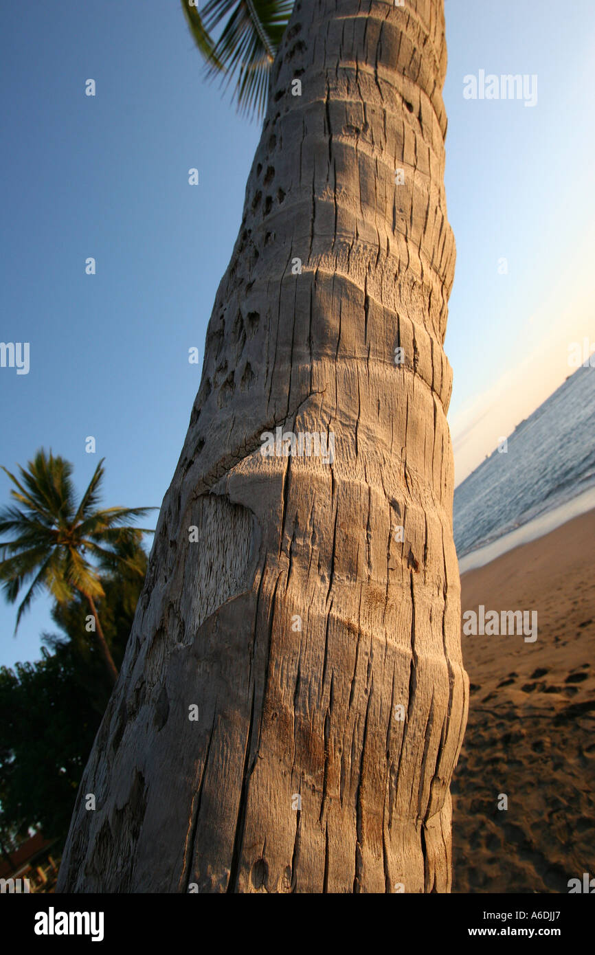 Lahaina Maui Hawaii Stock Photo - Alamy