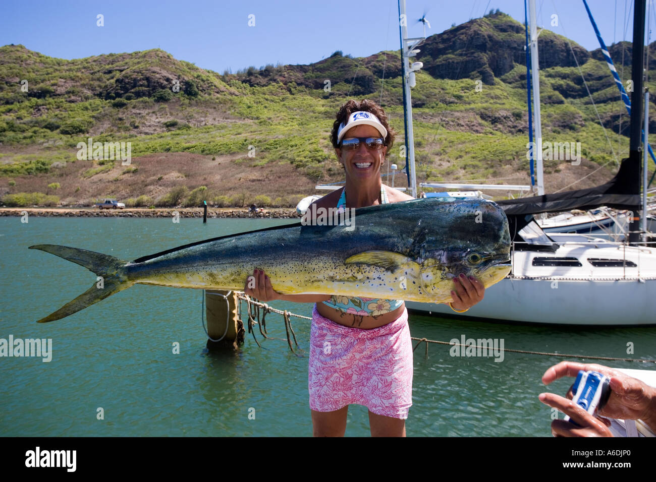 Mahi mahi hawaii hires stock photography and images Alamy