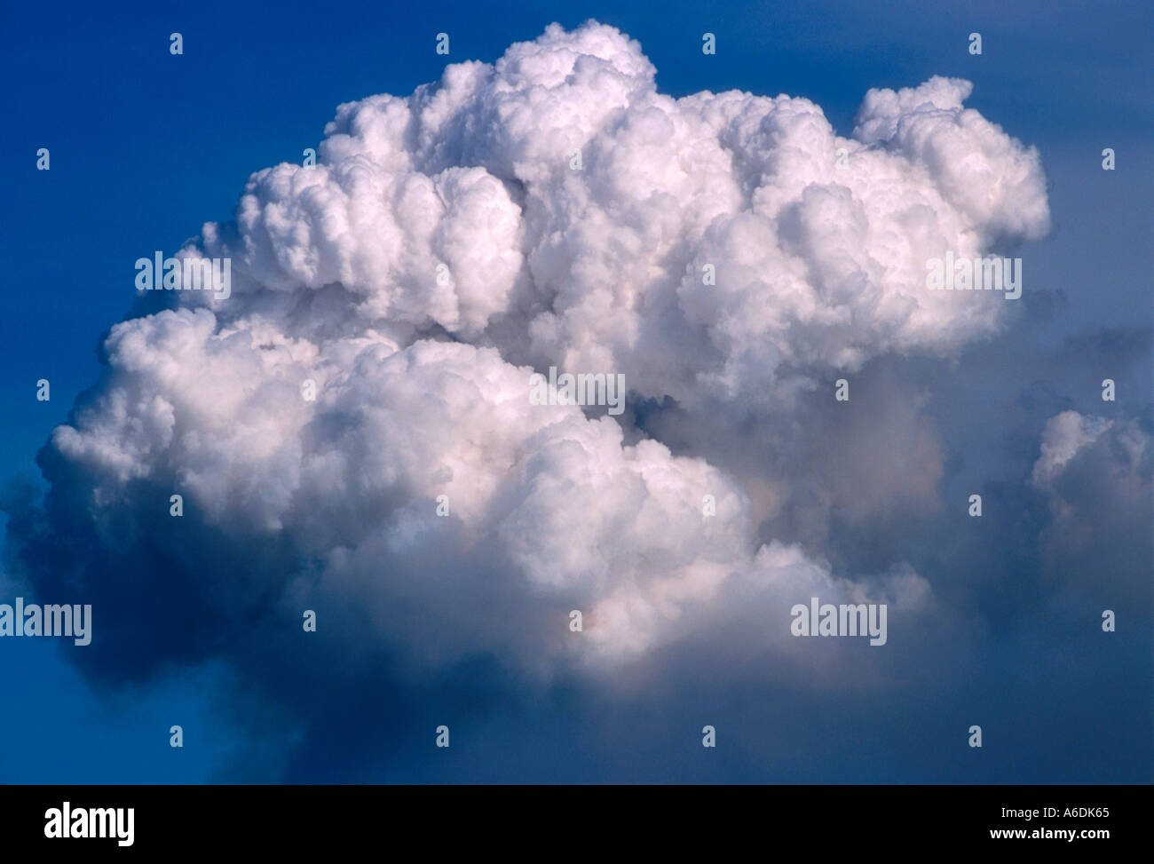 Towering Cumulus Cloud This quick into being short lived cloud was created from the burning of a sugar cane field in South FL Stock Photo