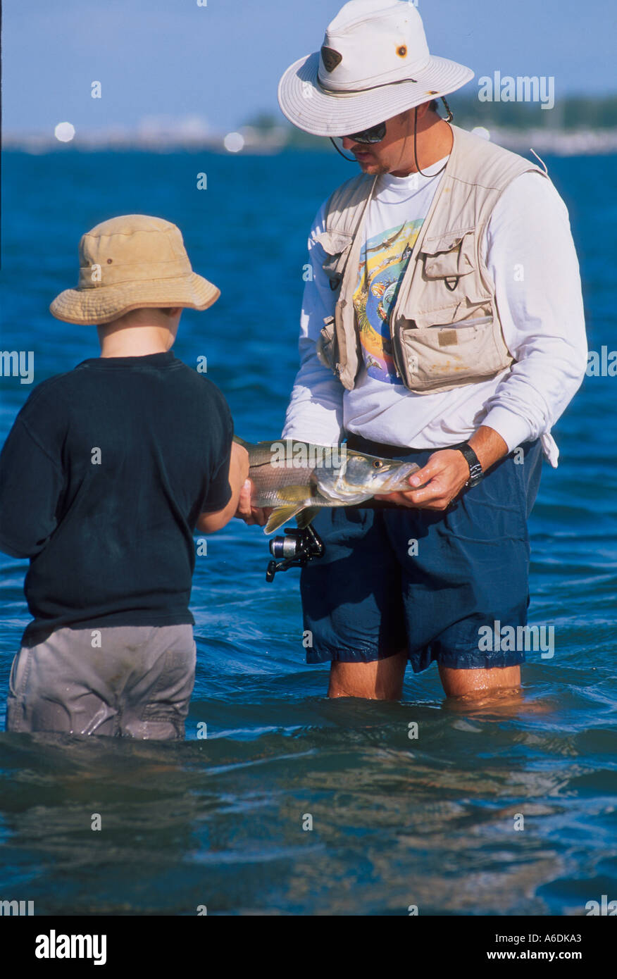 Man showing boy Snook Centropomus udecimalis in the Indian River Lagoon Saint Lucie Estuary Martin County Florida Stock Photo