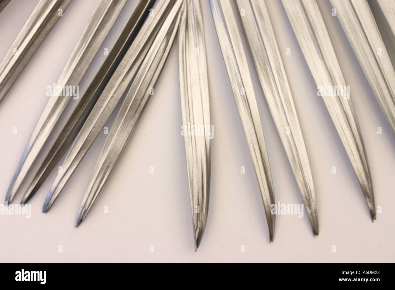 SILVER PALM FROND WHITE BACKGROUND HORIZONTAL BAPDB5977 Stock Photo Alamy