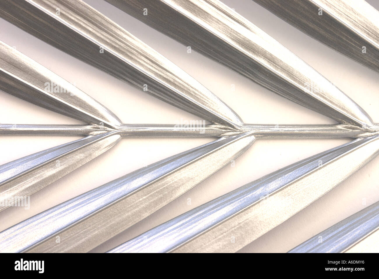 SILVER PALM FROND WHITE BACKGROUND HORIZONTAL BAPDB5981 Stock Photo Alamy