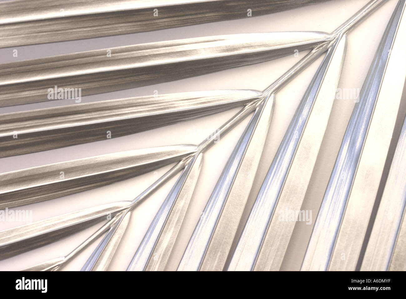 SILVER PALM FROND WHITE BACKGROUND HORIZONTAL BAPDB5983 Stock Photo Alamy