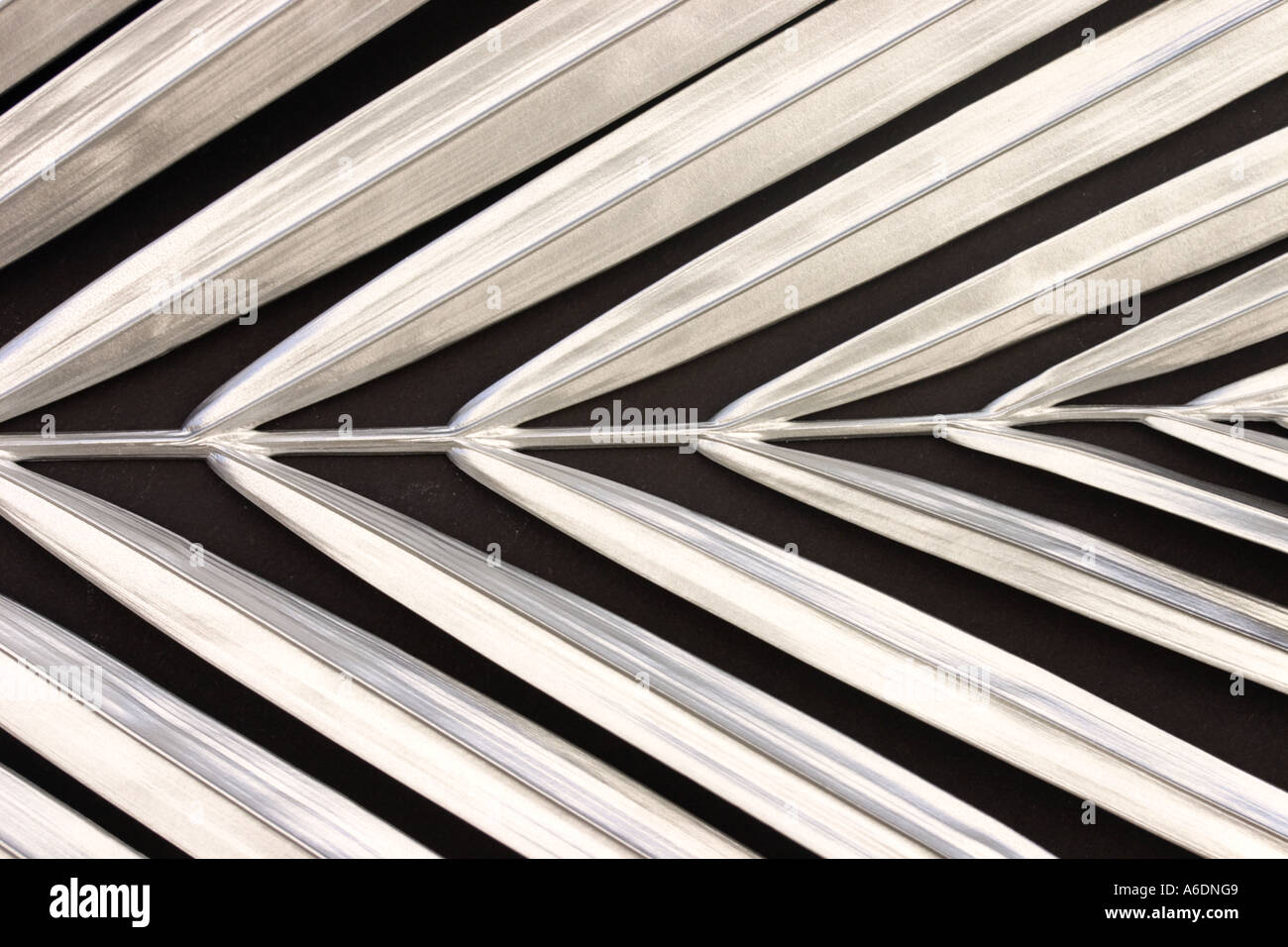 SILVER PALM FROND BLACK BACKGROUND HORIZONTAL BAPDB5986 Stock Photo Alamy