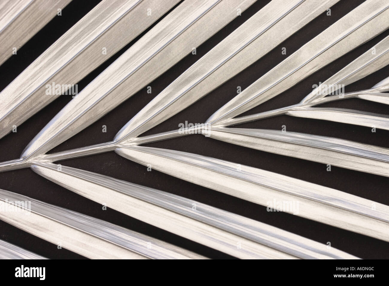 SILVER PALM FROND BLACK BACKGROUND HORIZONTAL BAPDB5987 Stock Photo Alamy