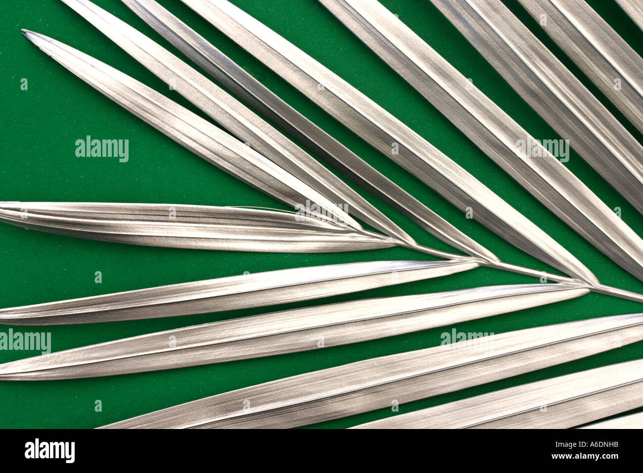 Silver palm frond white background hires stock photography and images