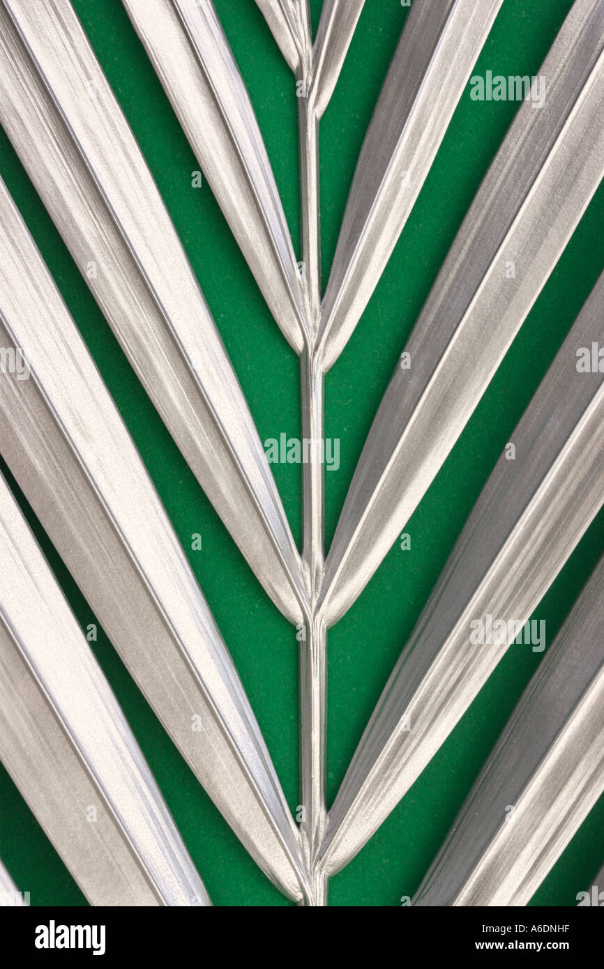 SILVER PALM FROND GREEN BACKGROUND VERTICAL BAPDB5992 Stock Photo Alamy
