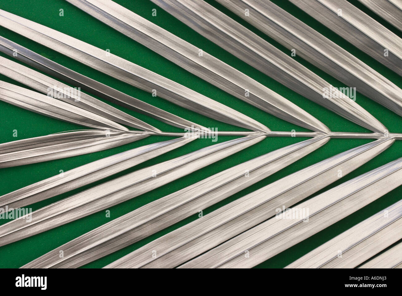 SILVER PALM FROND GREEN BACKGROUND HORIZONTAL BAPDB5993 Stock Photo Alamy