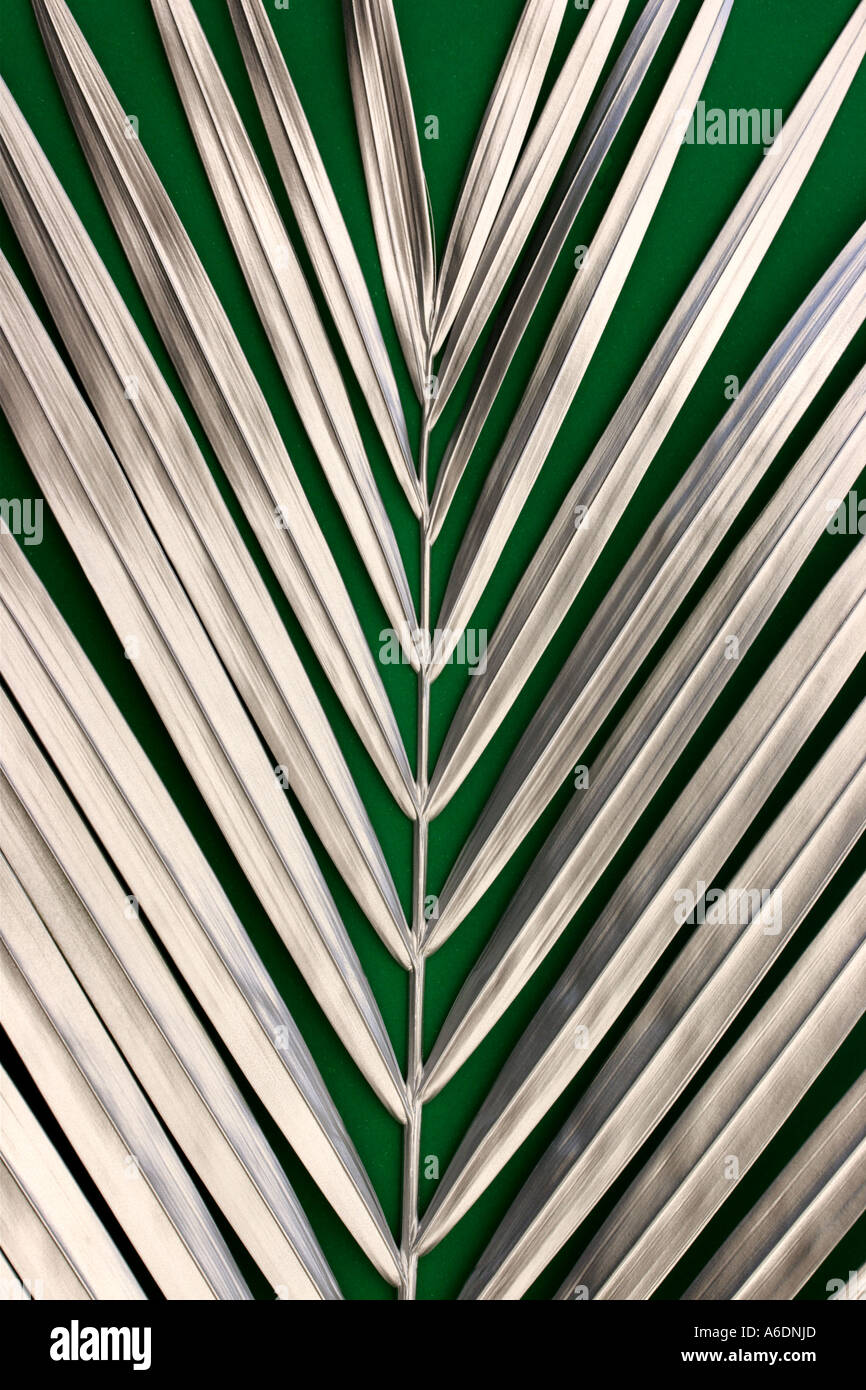 SILVER PALM FROND GREEN BACKGROUND VERTICAL BAPDB5996 Stock Photo Alamy