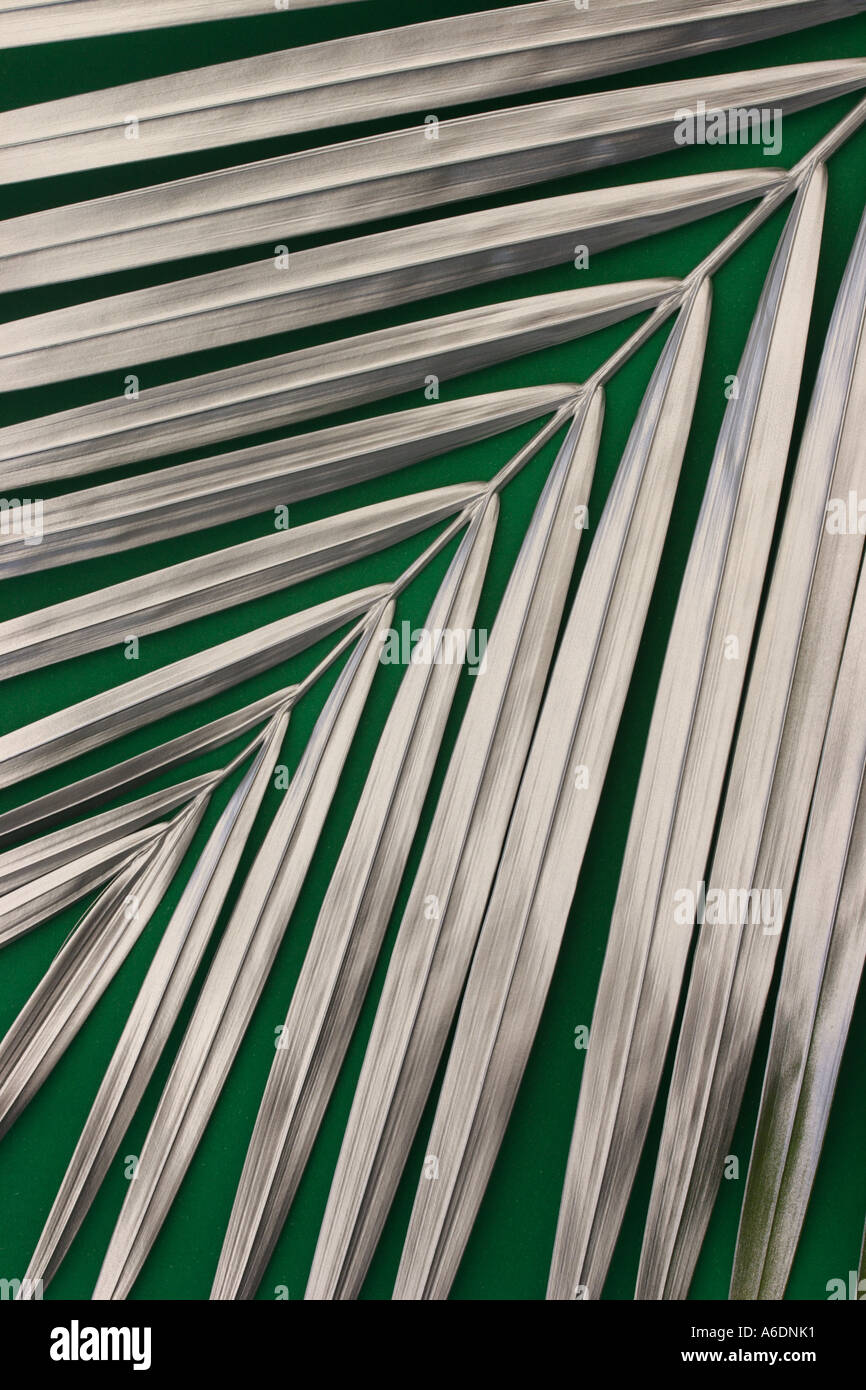 SILVER PALM FROND GREEN BACKGROUND VERTICAL BAPDB5997 Stock Photo Alamy