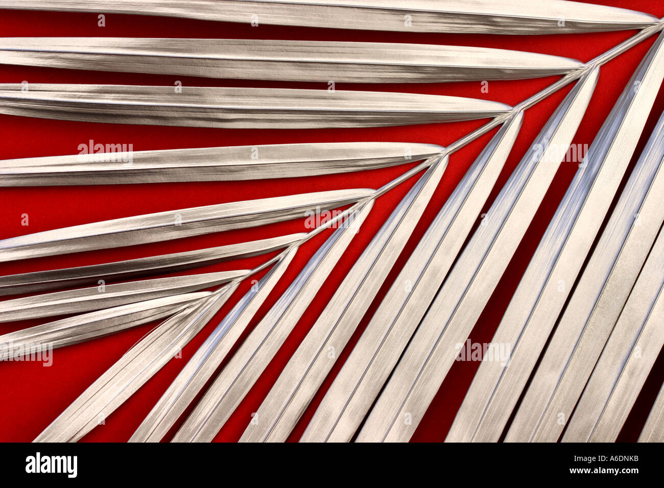 SILVER PALM FROND RED BACKGROUND HORIZONTAL BAPDB6000 Stock Photo Alamy