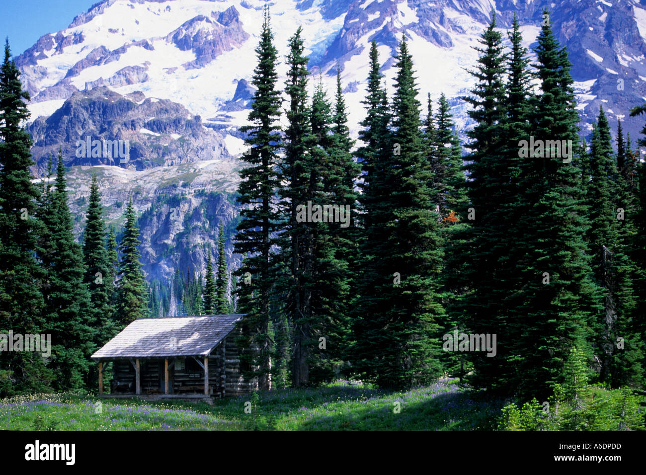 Cabin In Indian Henry Hunting Grounds And Mt Rainier Washington