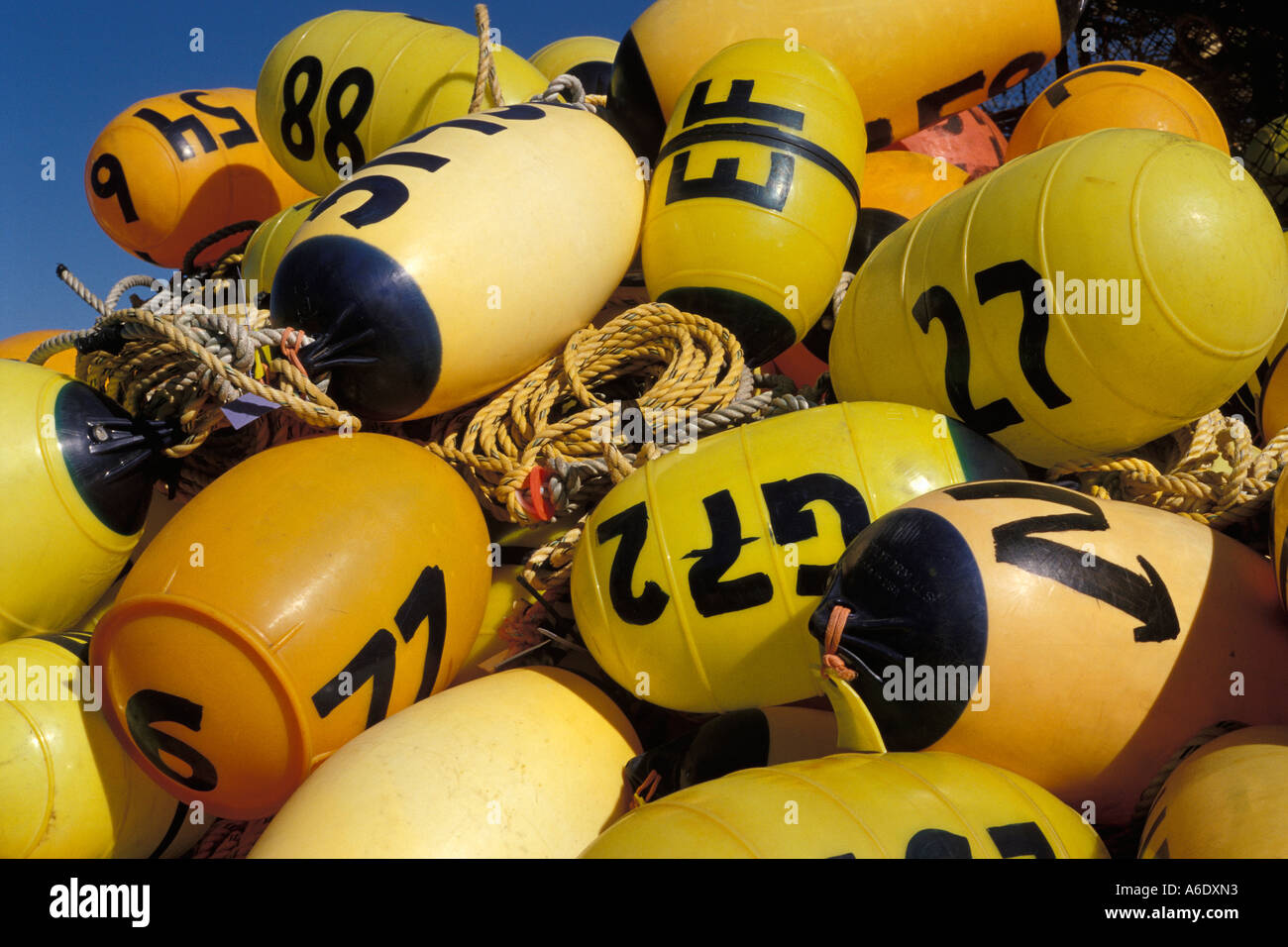 Rope stockpile hi-res stock photography and images - Alamy