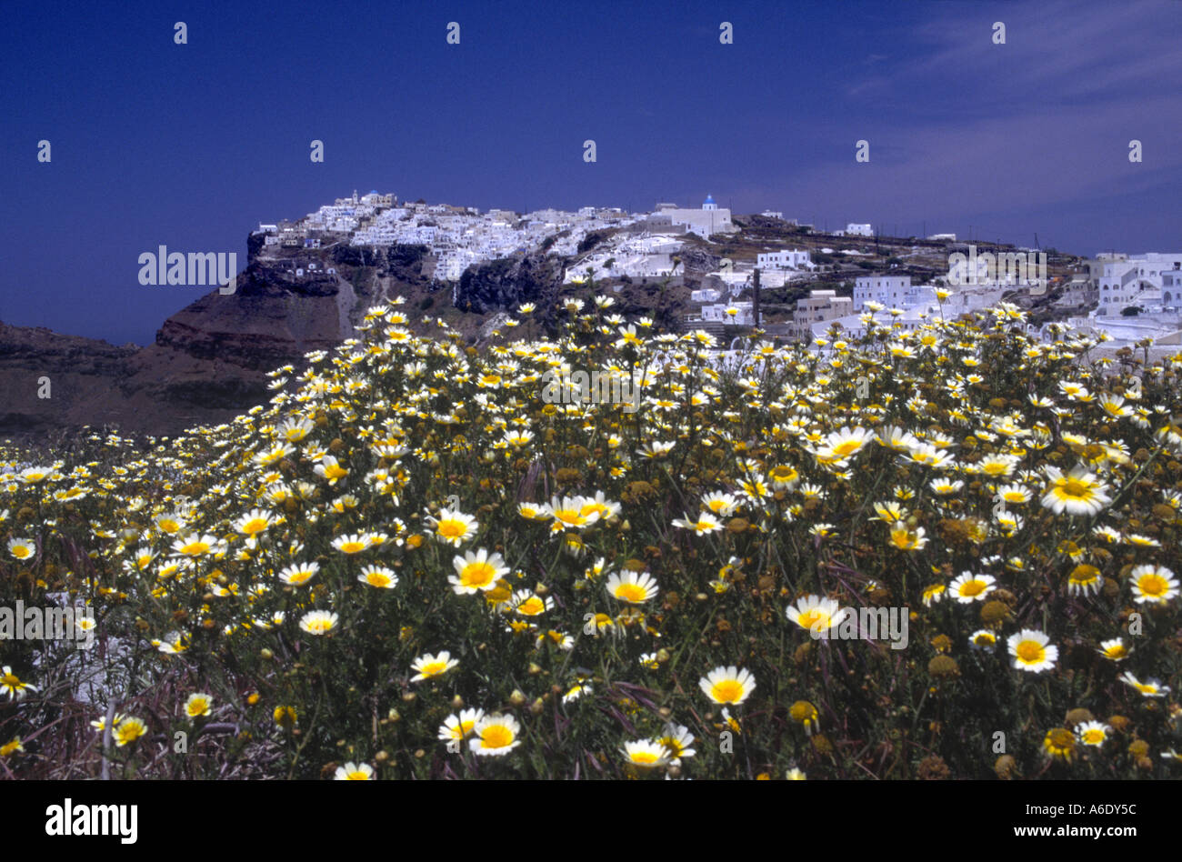 Perivolas Perivolas Santorini Greece Stock Photo - Alamy