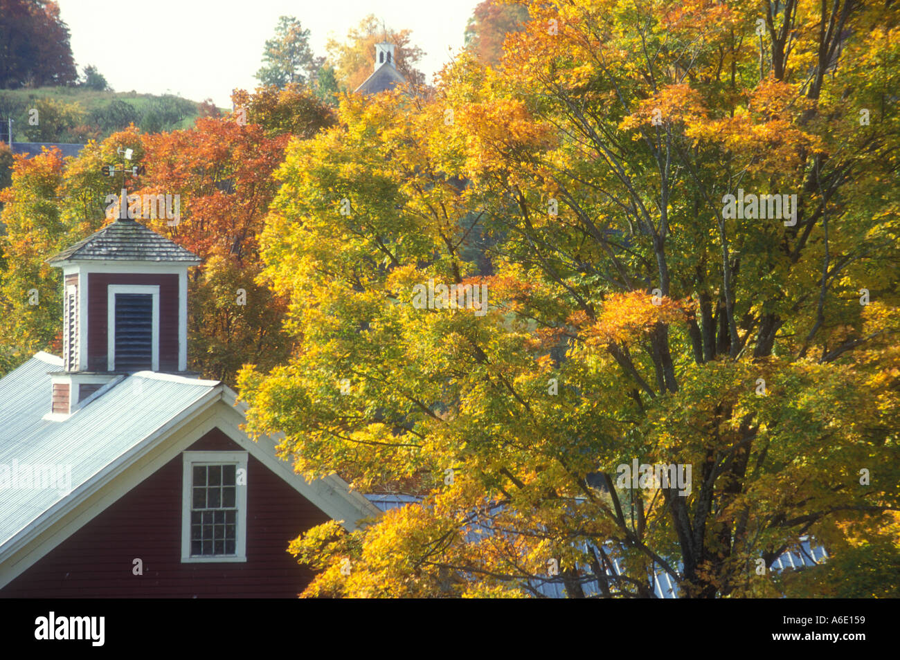 Fall foliage in montpelier vermont hires stock photography and images