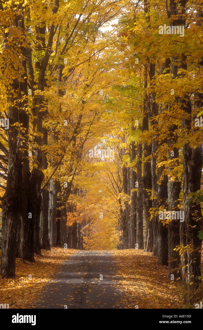 AJ5582, Royalton, VT, Vermont Stock Photo Alamy