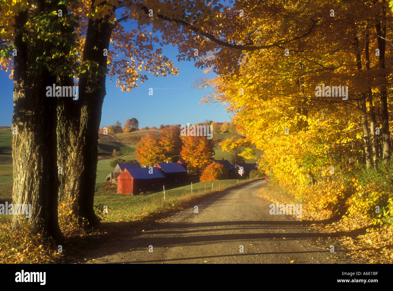 AJ5616, Reading, VT, Vermont Stock Photo Alamy