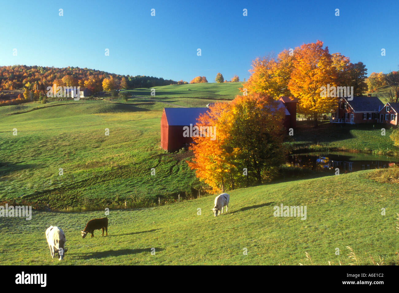 AJ5619, Reading, VT, Vermont Stock Photo Alamy