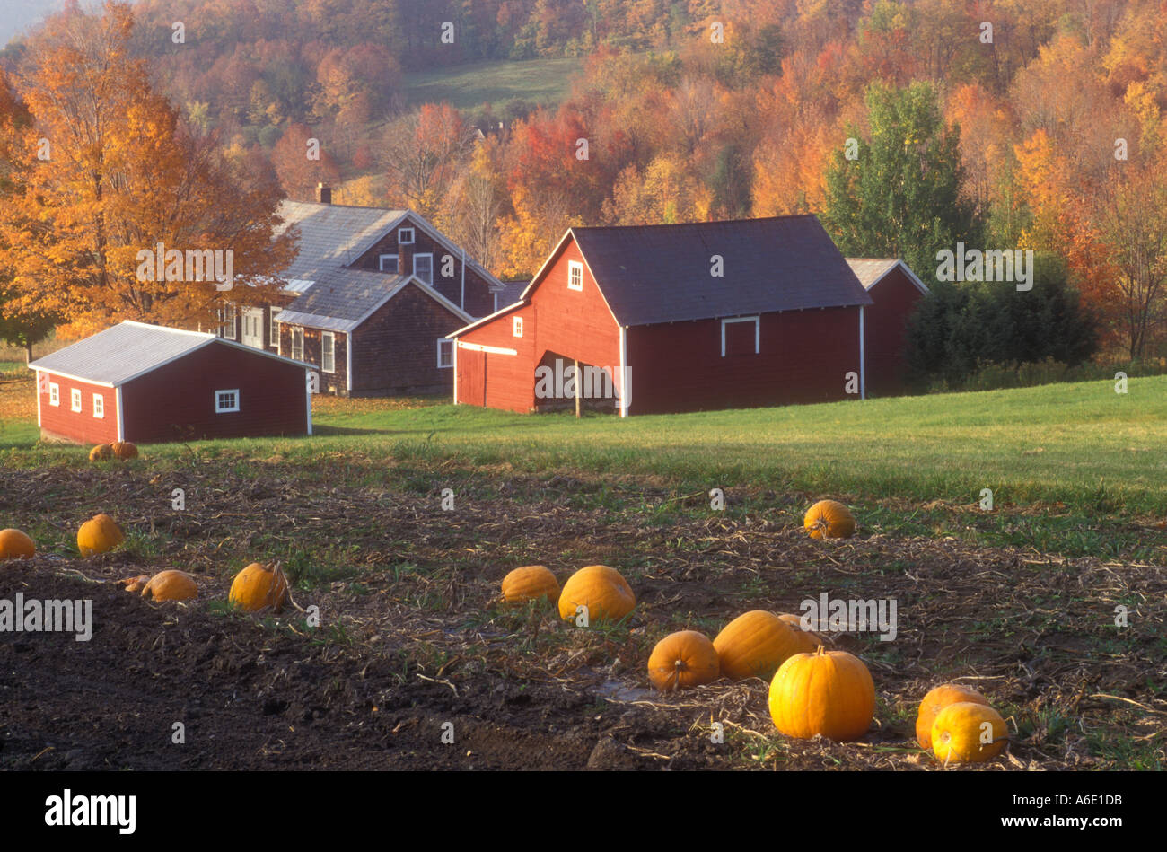 Four corners hires stock photography and images Alamy