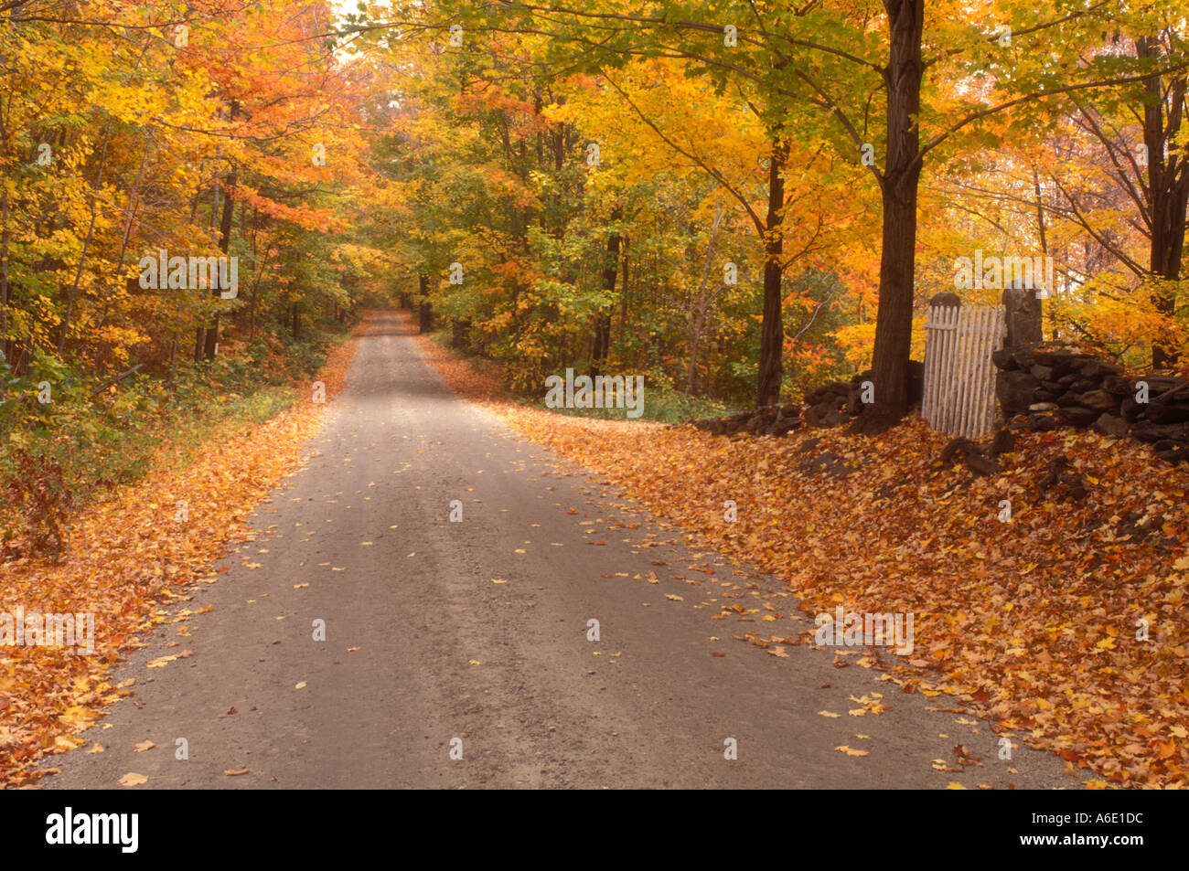 Danby street hires stock photography and images Alamy