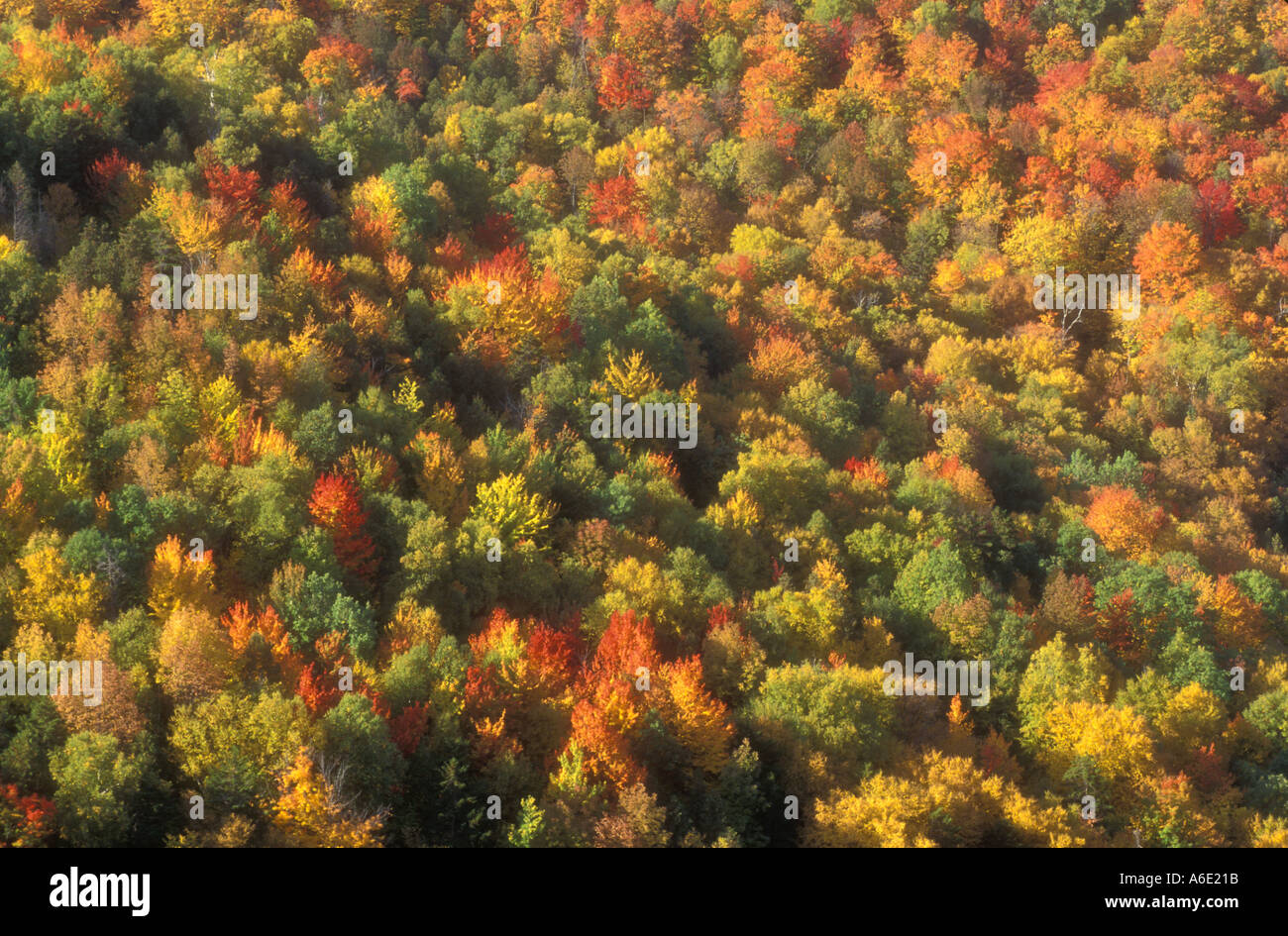 Aerial photos new england hi-res stock photography and images - Alamy