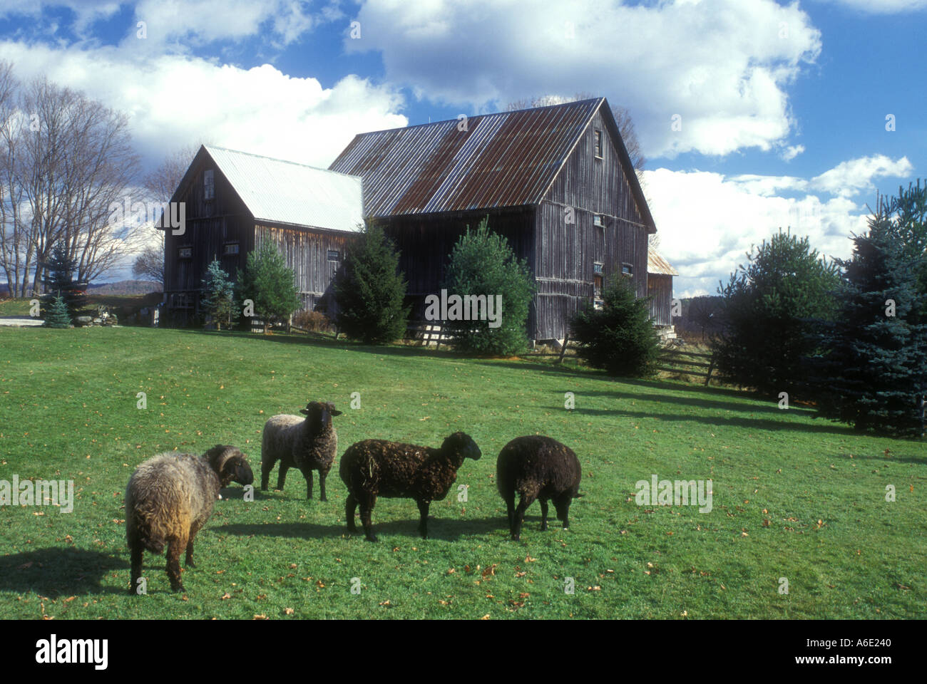 AJ5745, Vermont, VT, New England Stock Photo