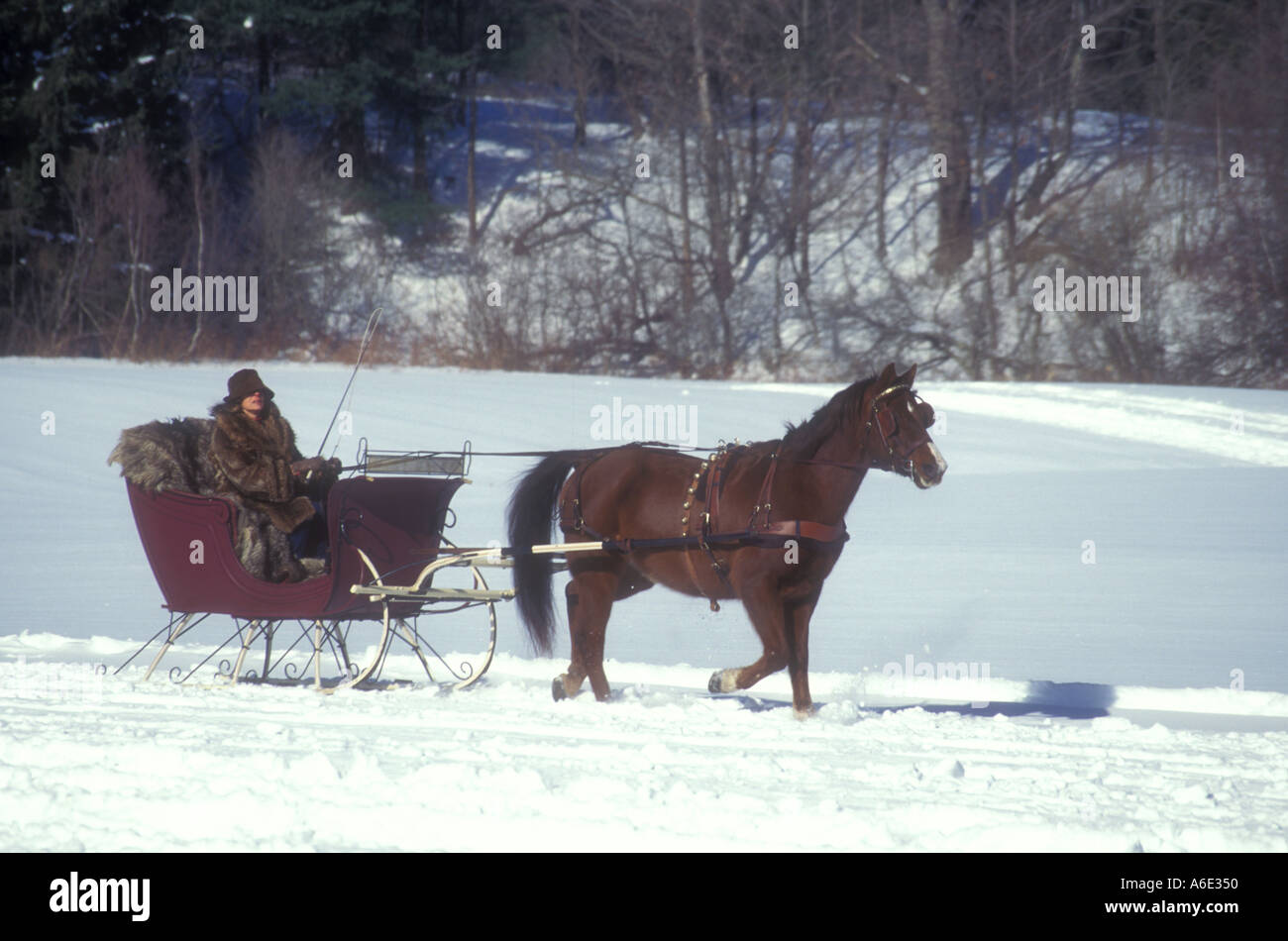 One horse open sleigh hires stock photography and images Alamy