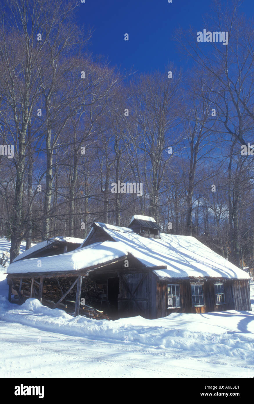 Jenny sutton hires stock photography and images Alamy