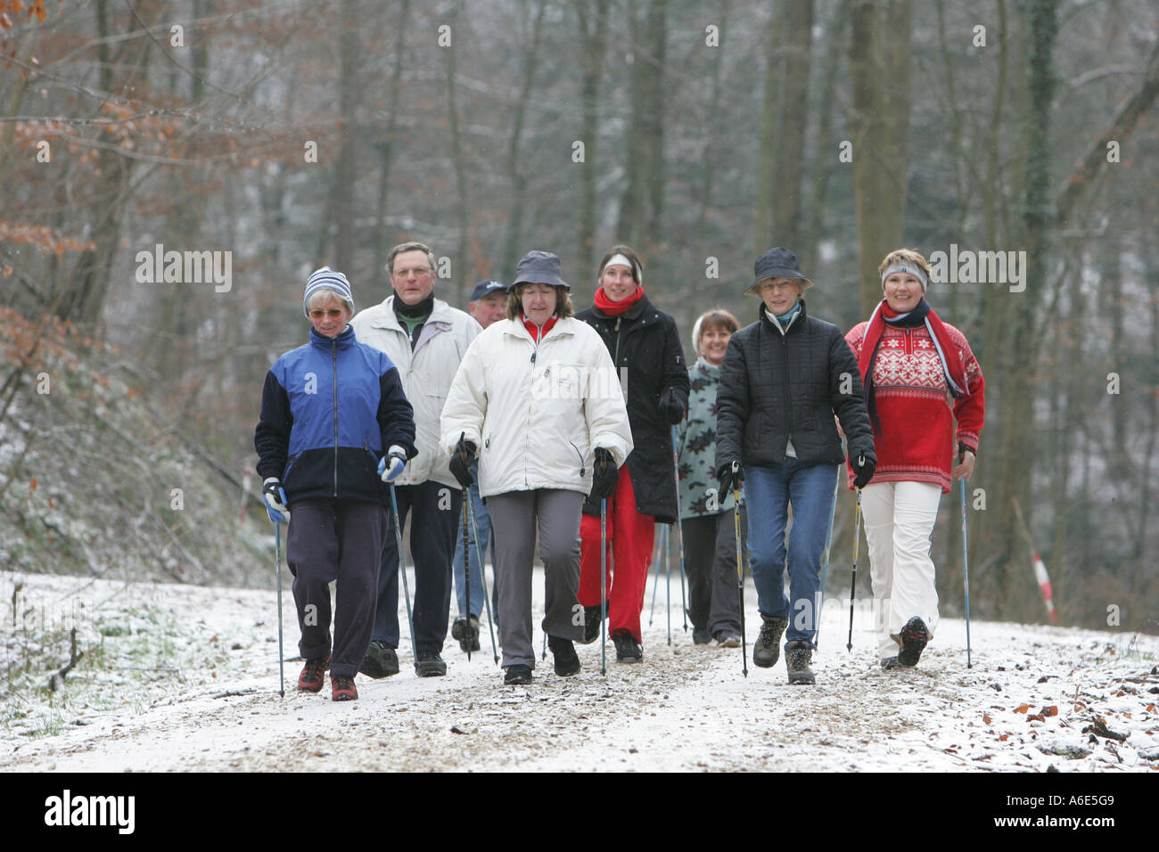 DEU, Federal Republic of Germany, Weinheim, group of walkers in the snow Stock Photo