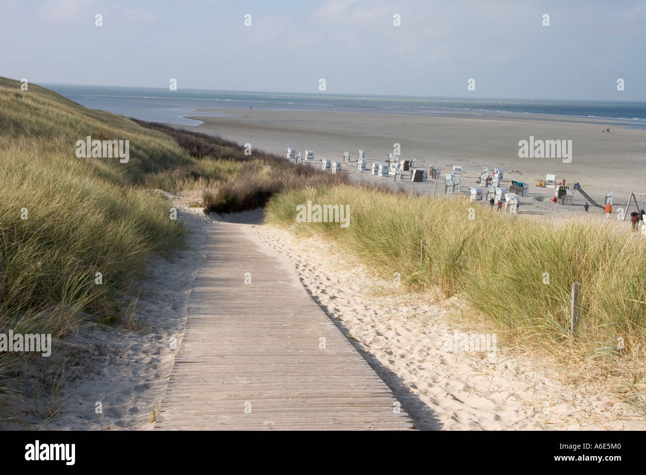 DEU, Federal Republic of Germany, Spiekeroog, path to the beach of the east frisian North Sea island Spiekeroog Stock Photo