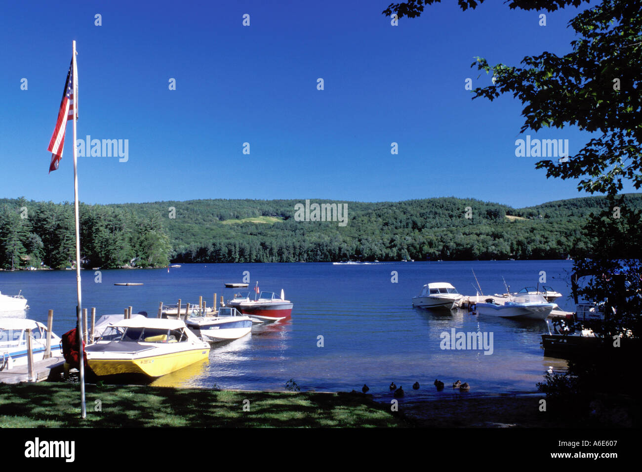 AJ6712, New Hampshire, Holderness, NH Stock Photo Alamy