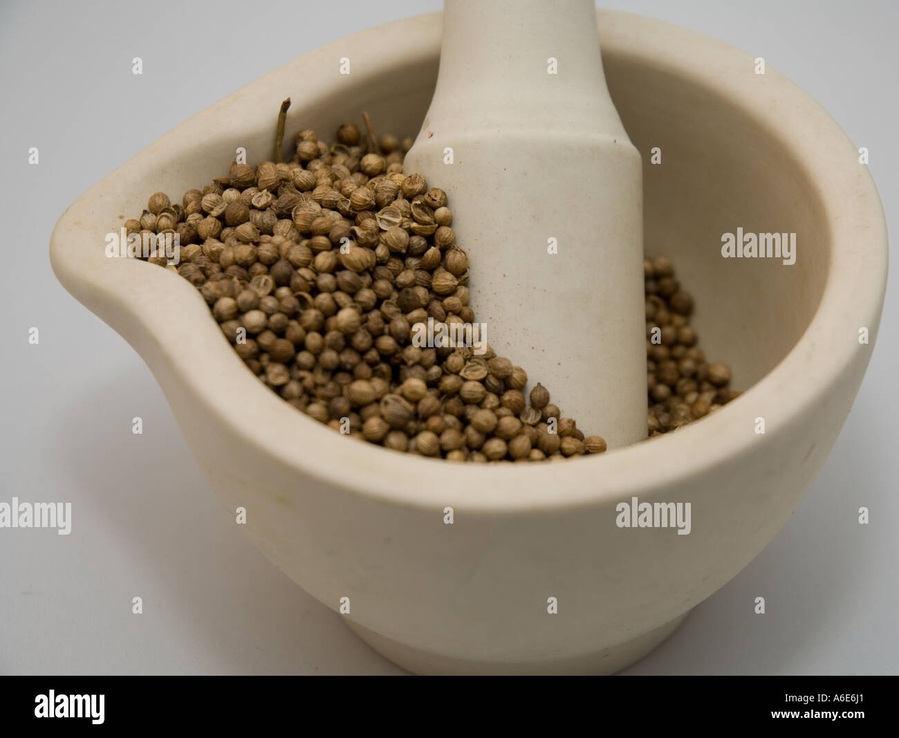White pestle and mortar containing coriander seeds on a white background Stock Photo