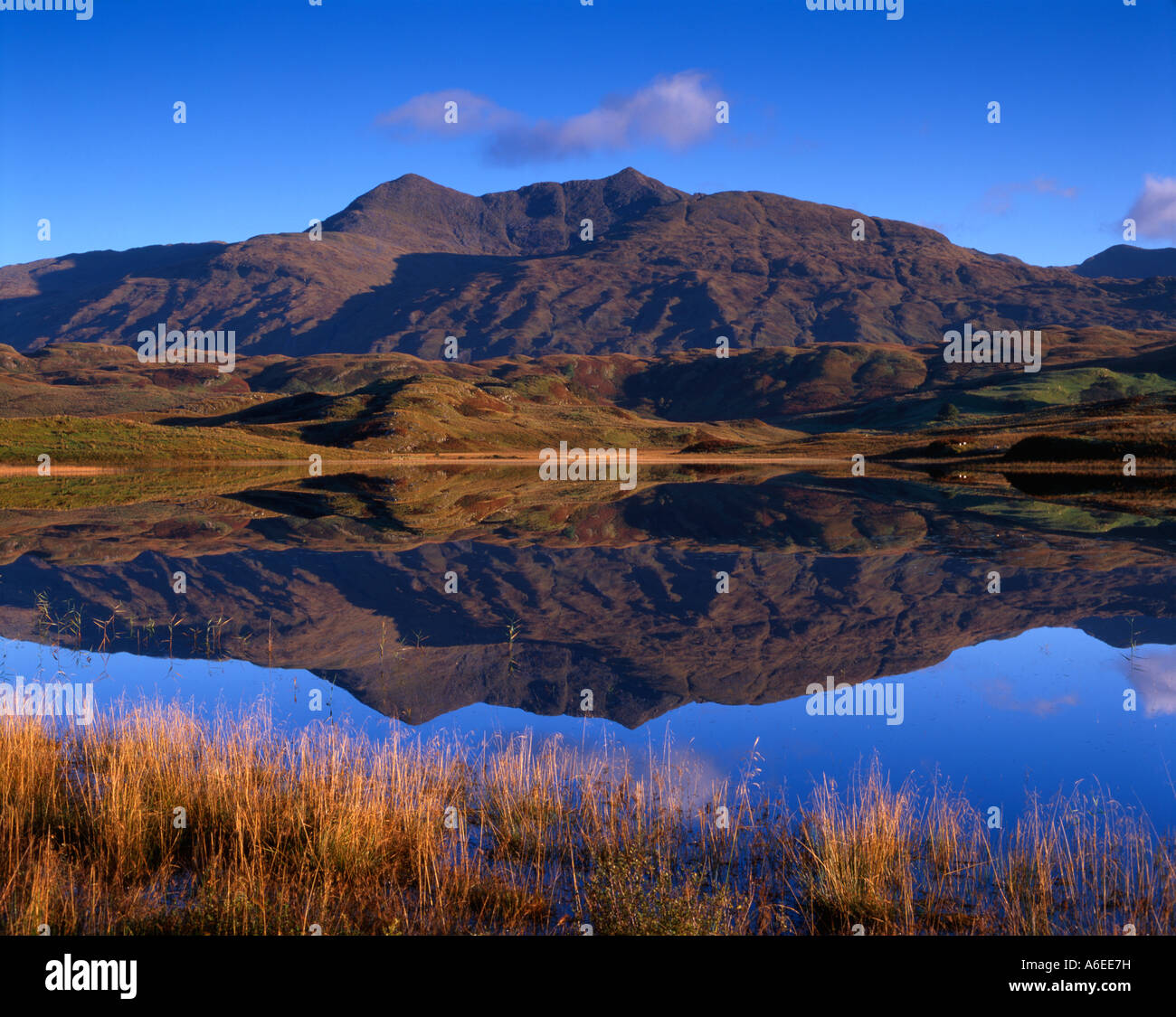 Ben Cruachan reflected in Loch Tromlee near Kilchrenan, Argyll Stock Photo