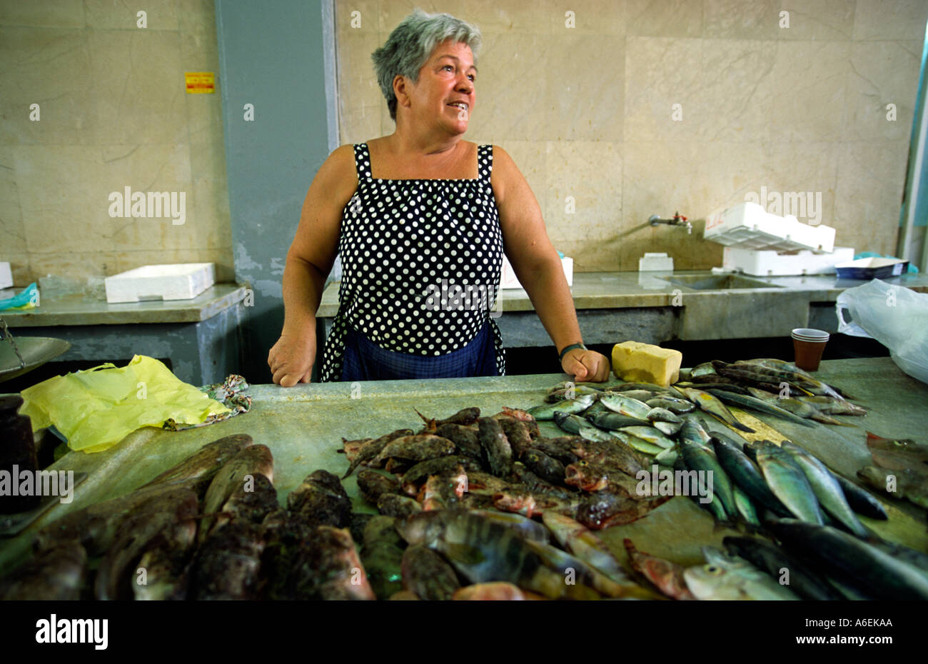 Vendor on Zadar fish market, Zadar, Croatia Stock Photo Alamy