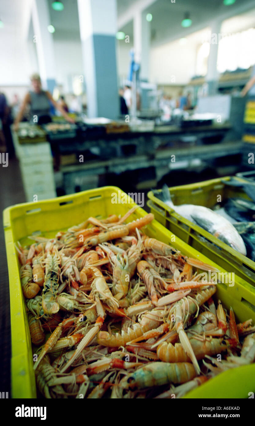 Zadar fish market, Zadar, Croatia Stock Photo Alamy