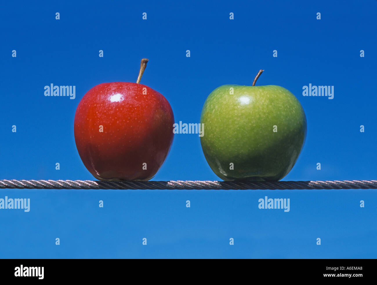'apples, red and green, balancing on high-wire' Stock Photo