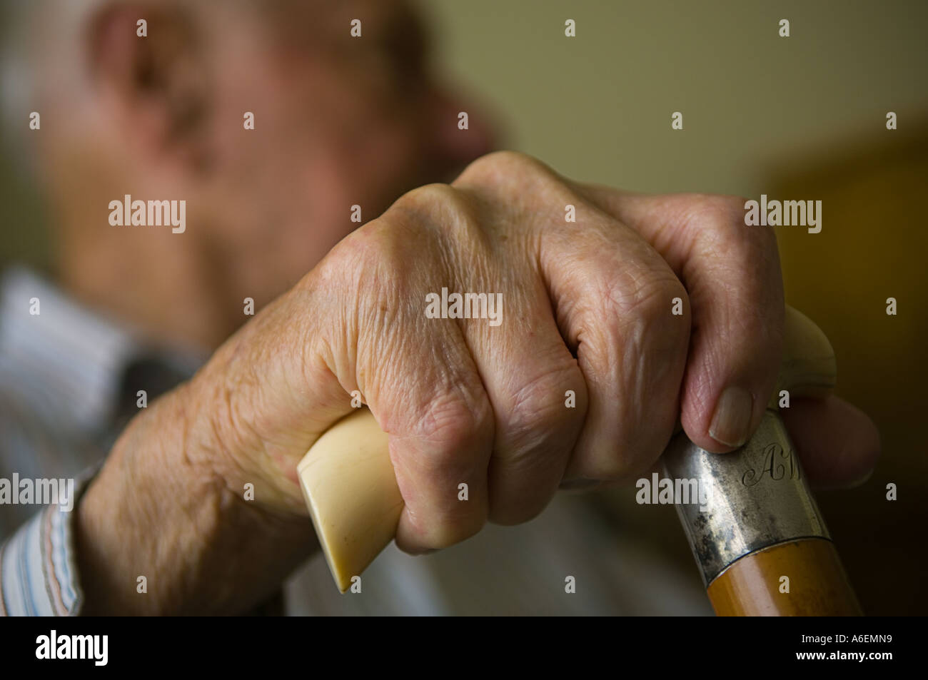 Close up of an elderly mans hand holding an ivory handled walking stick Stock Photo