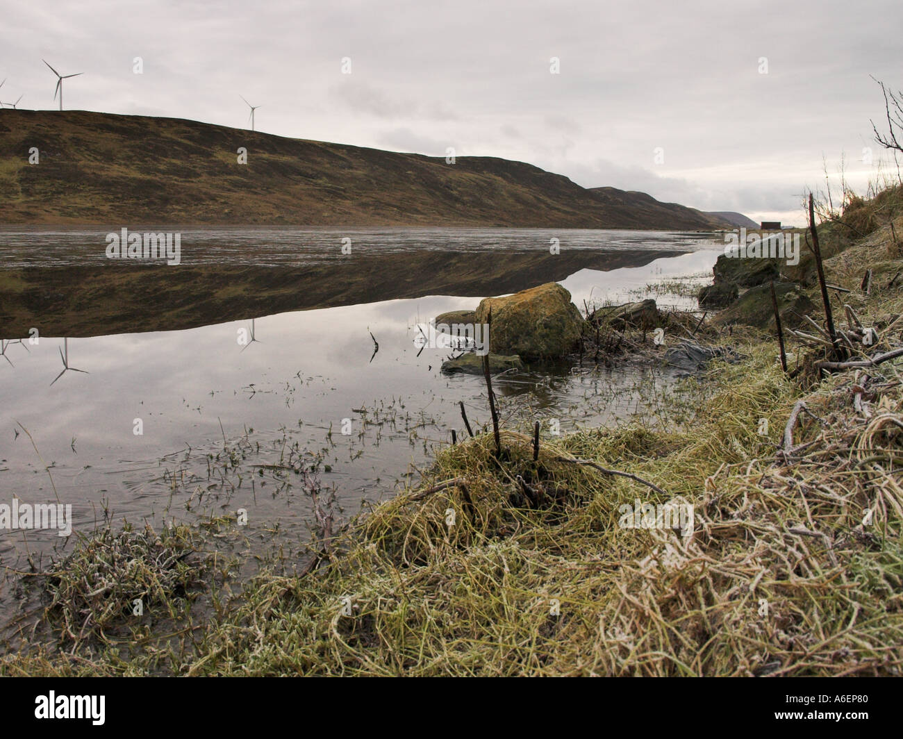 Reflections Tingwall Loch Shetland Stock Photo
