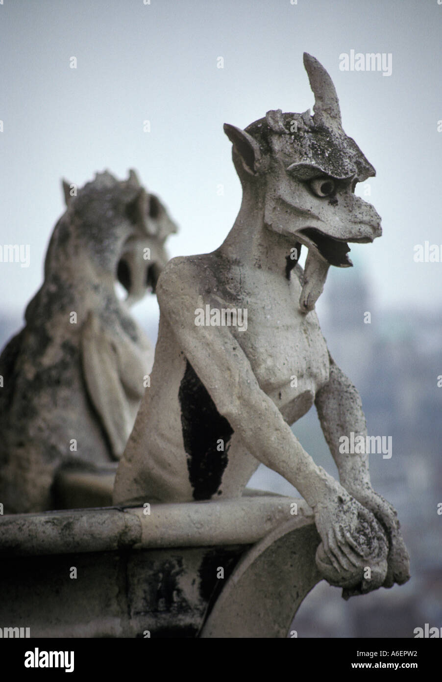 Gargoyles Notre Dame Cathedral, Paris France Stock Photo Alamy