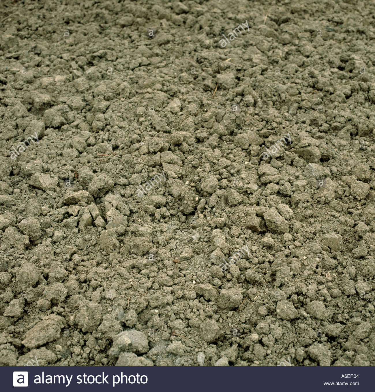 A clay loam seedbed soil surface Stock Photo