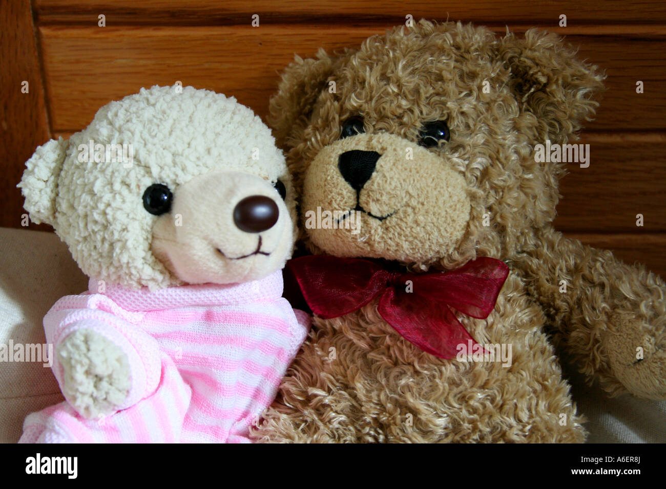 girl and boy teddy bears