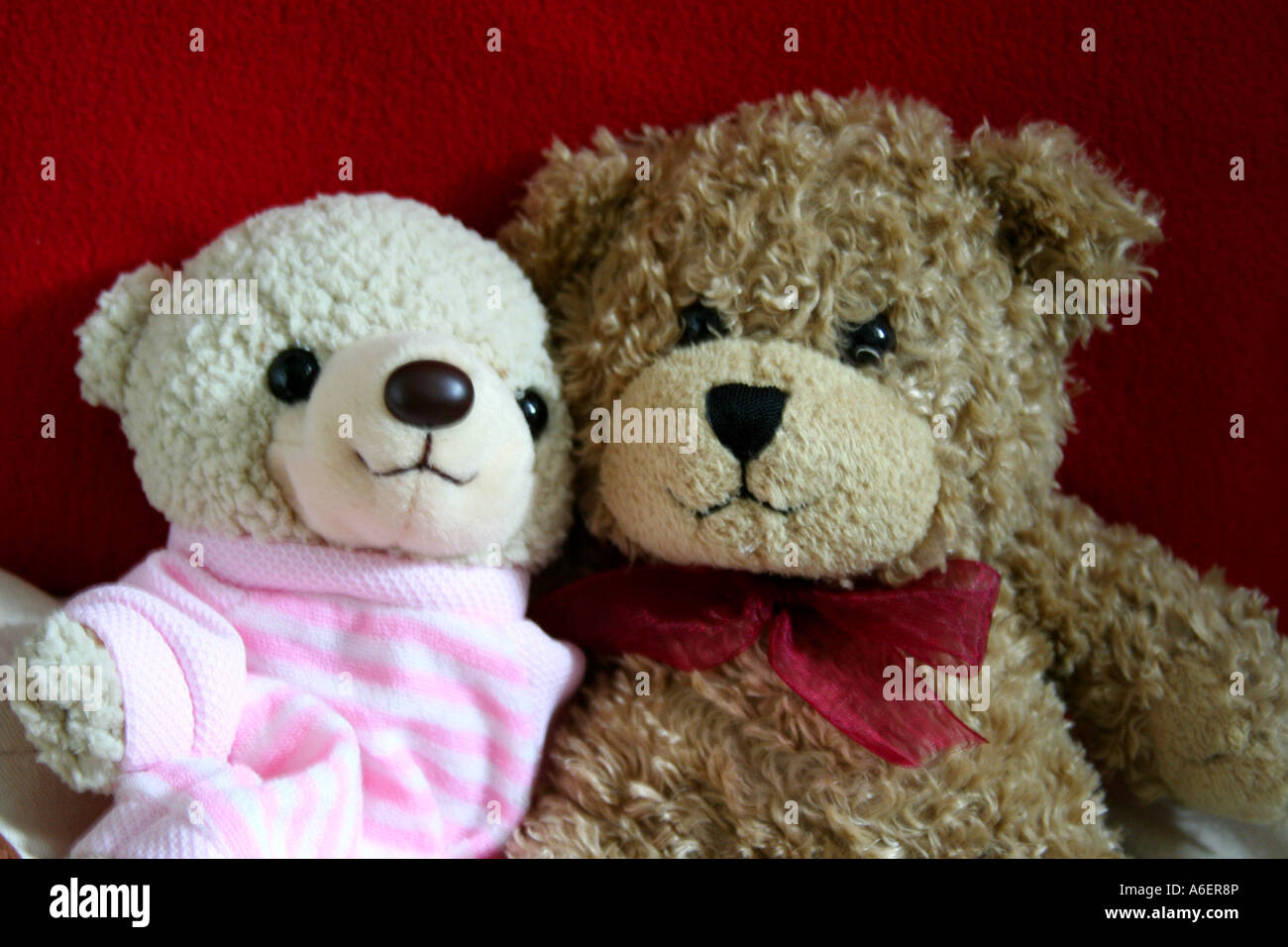 boy and girl teddy bears