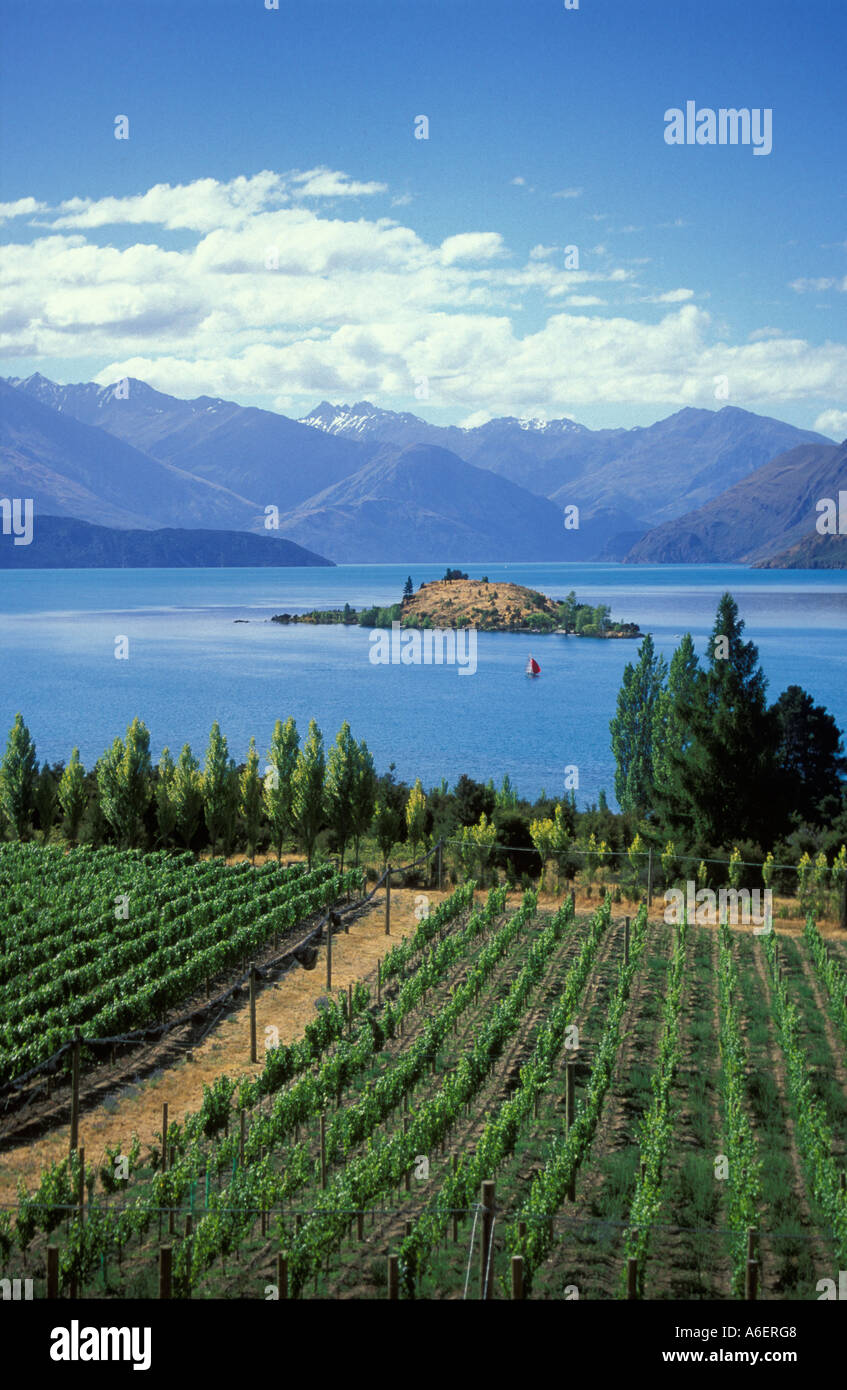 Rippon vineyard at Lake Wanaka Central Otago New Zealand Stock Photo