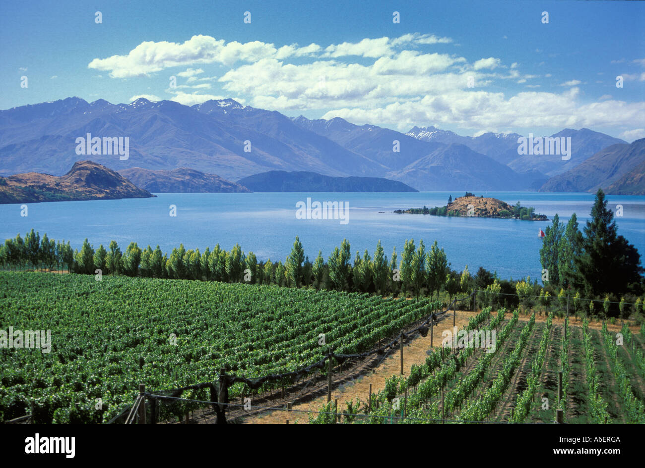 Rippon vineyard at Lake Wanaka Central Otago New Zealand Stock Photo