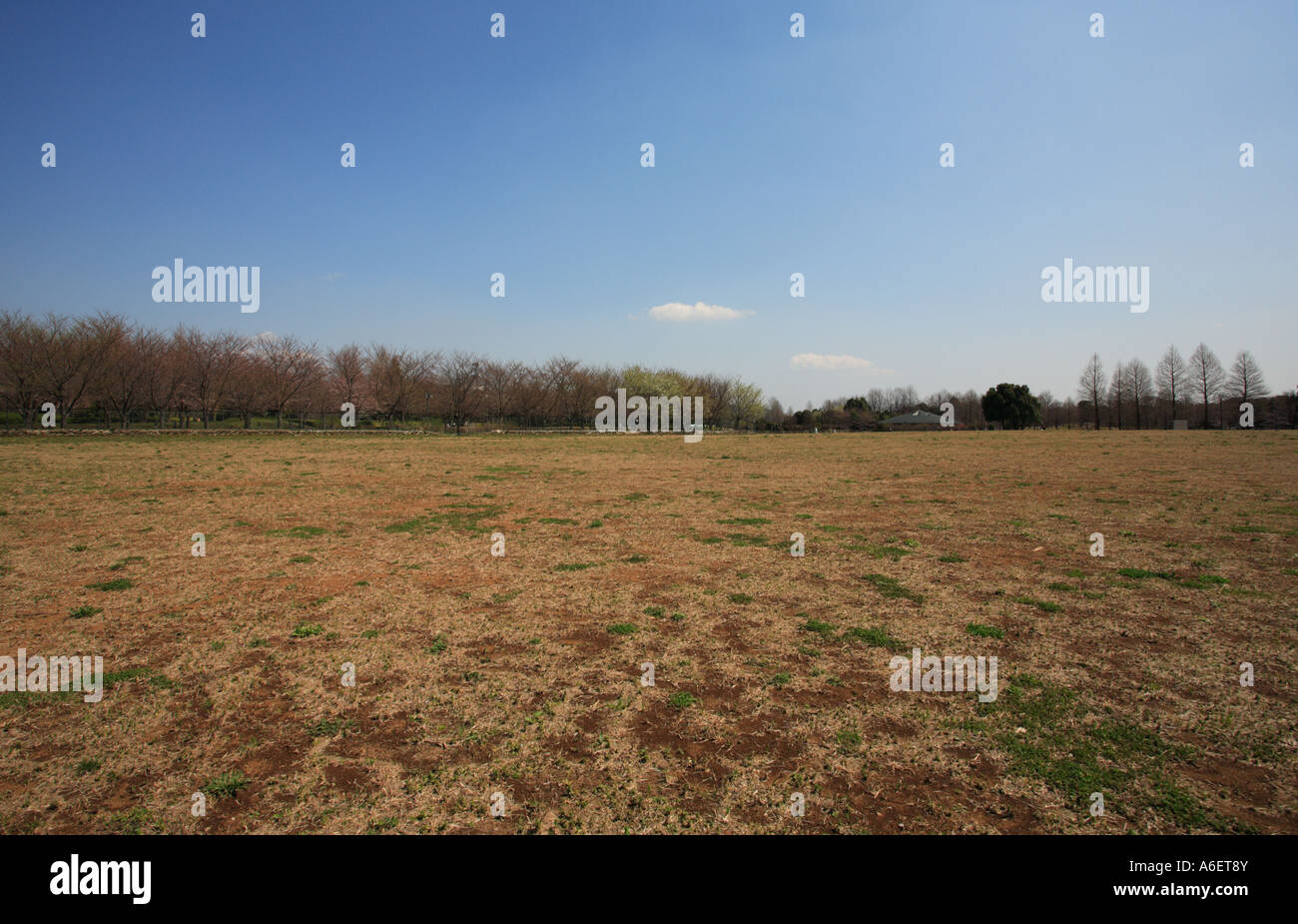 Wide open field in Kashiwanoha Park, Kashiwa City, Chiba Prefecture, Japan. Stock Photo