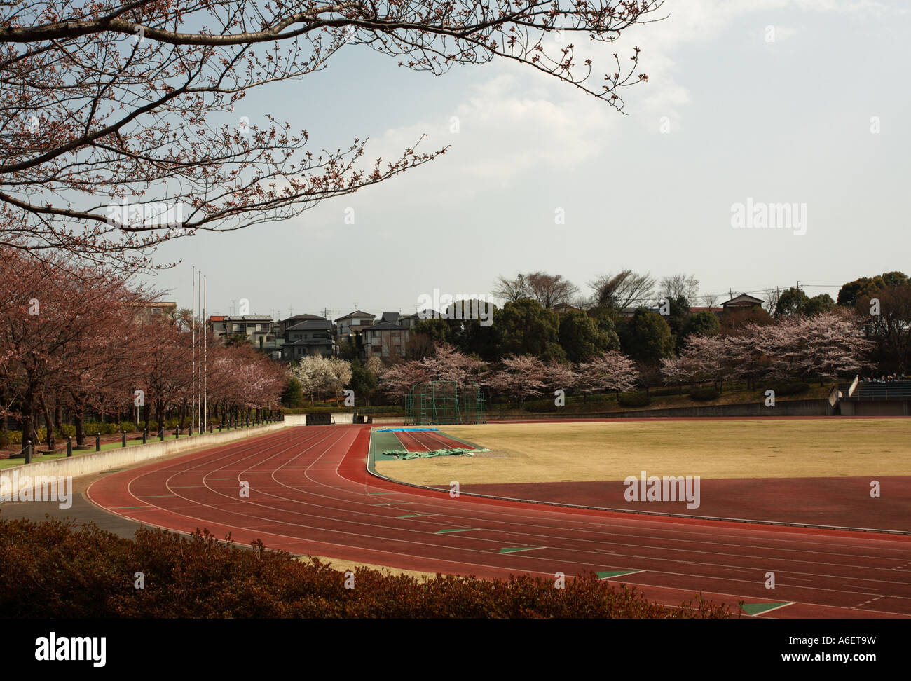 Running track field lined with cherry blossom trees at a sports center in Kita-Matsudo, Matsudo City, Chiba Prefecture, Japan. Stock Photo