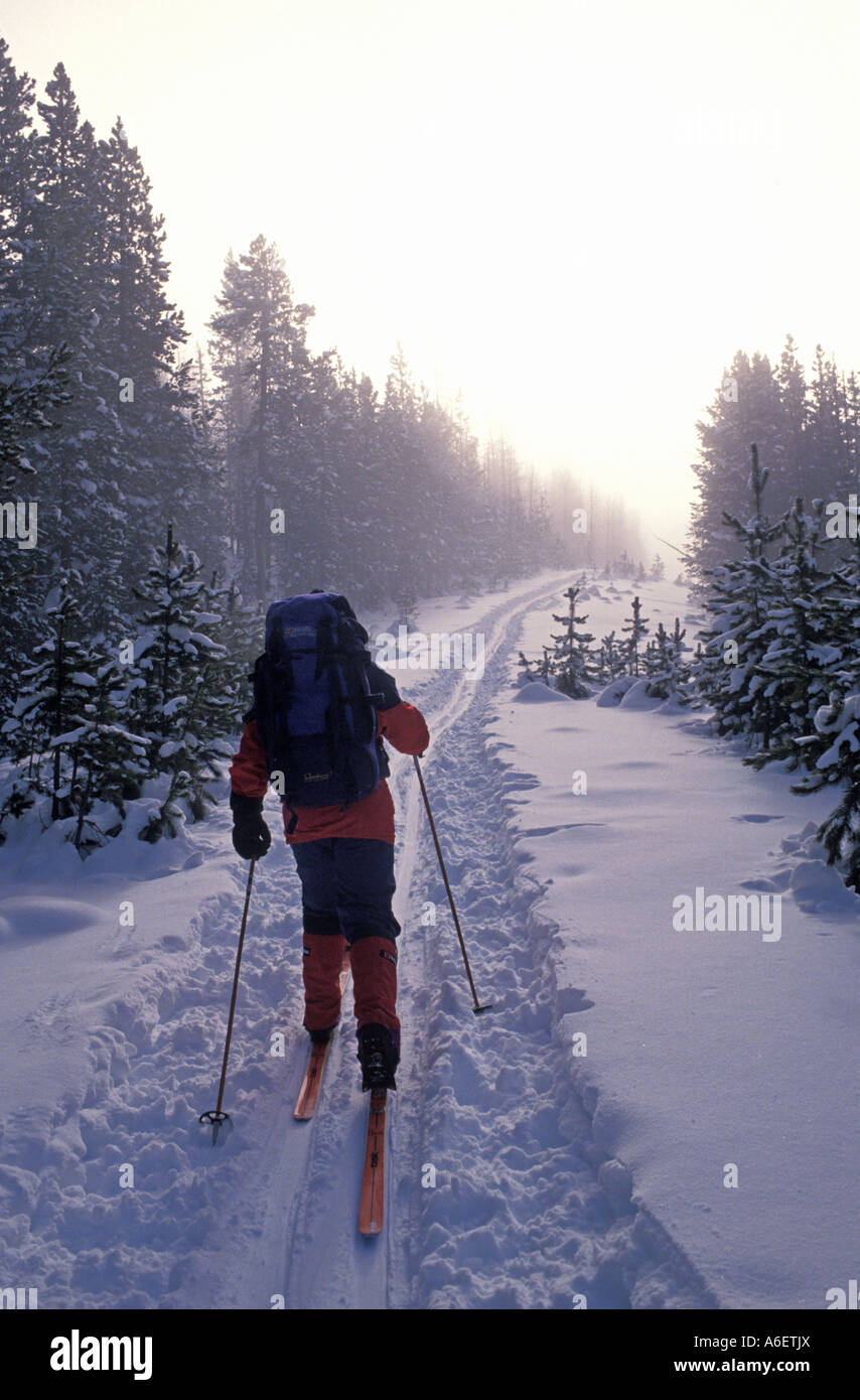 Vail ski trail hires stock photography and images Alamy