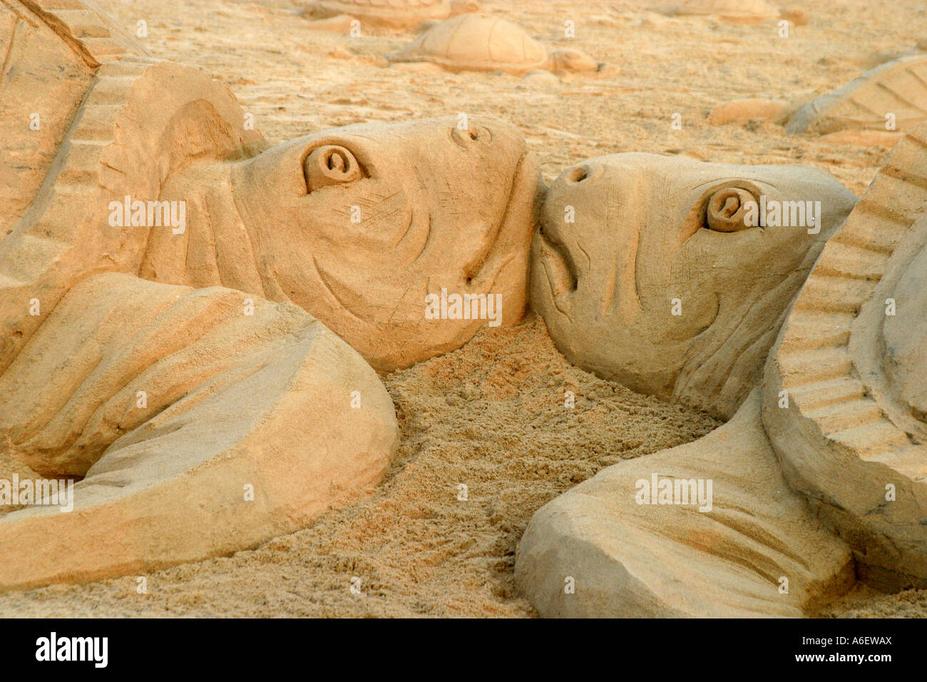Giant Sand sculptures highlight the Save the Olive Ridley sea Turtles