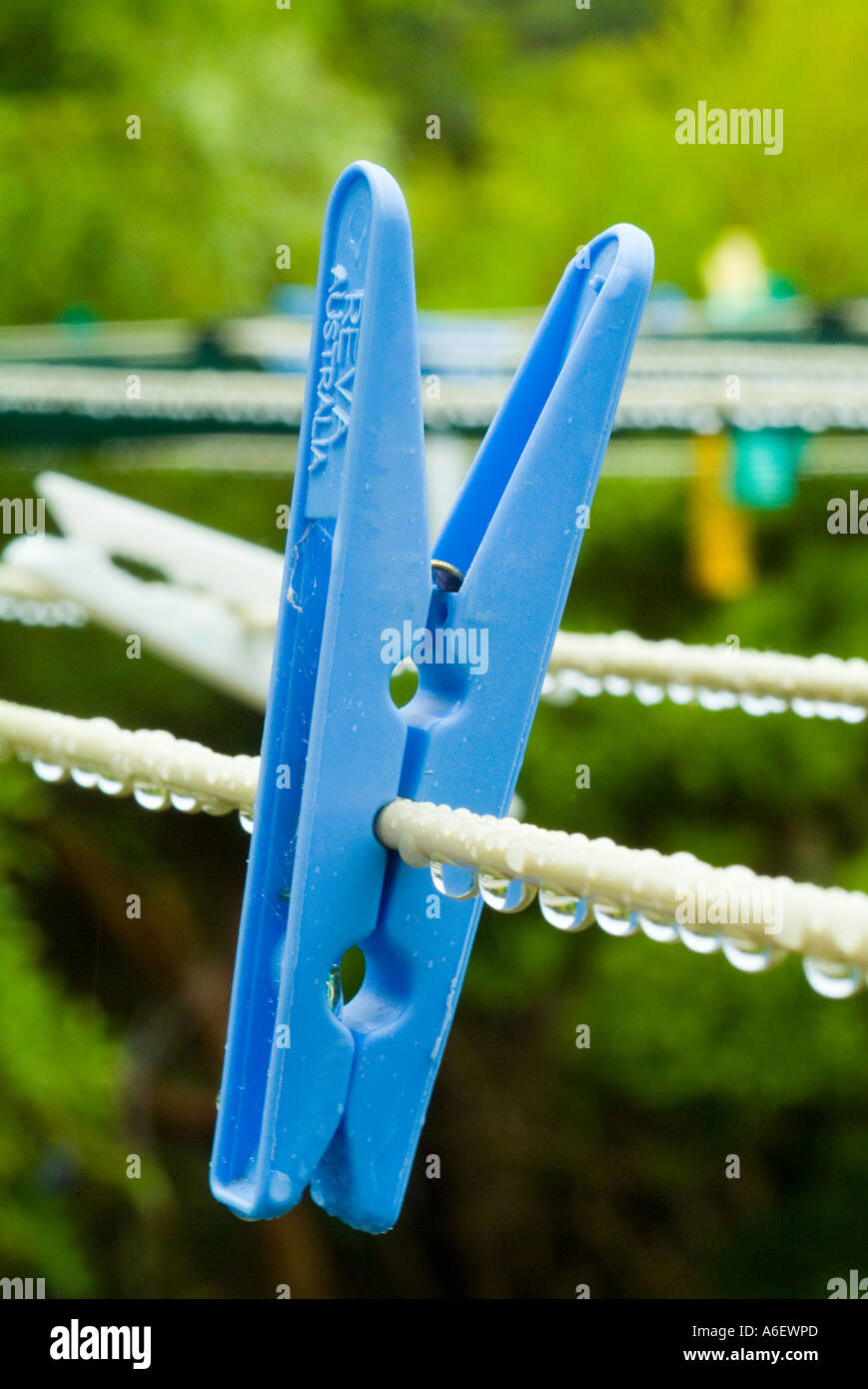 Clothes peg on wet washing line Stock Photo Alamy