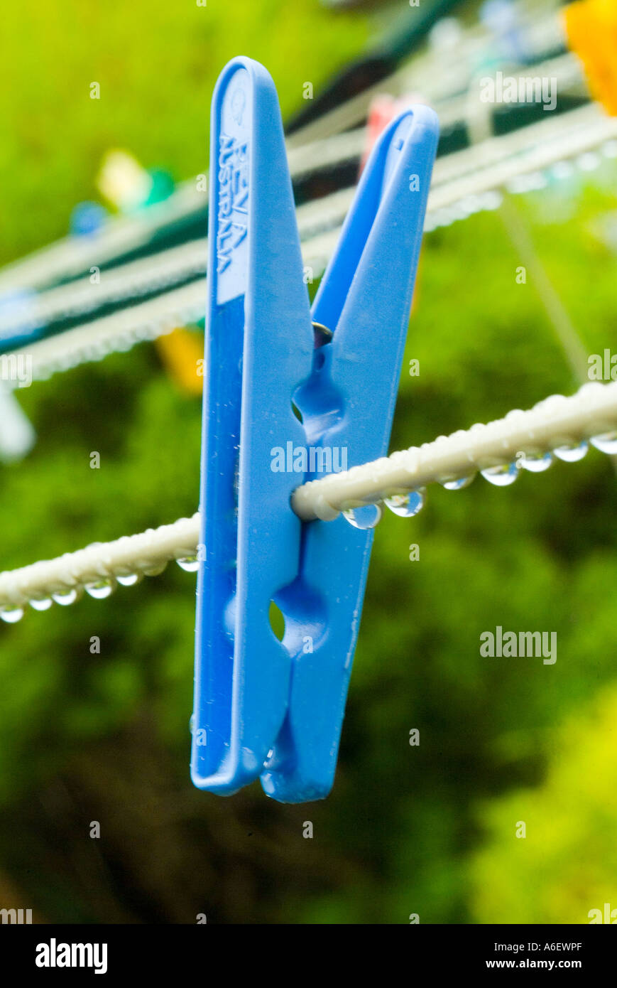 Clothes peg on wet washing line Stock Photo Alamy